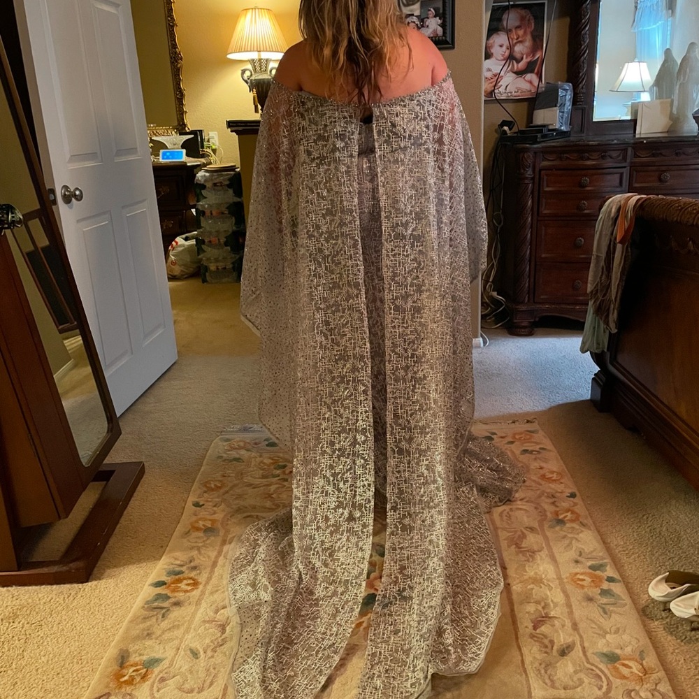 Elegant Silver Lace Dress with train - Picture 2 of 8